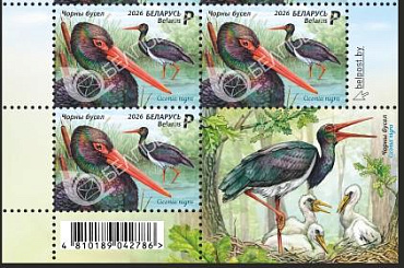 Беларусь, 2026, Птица Года. Аист, квартблок с купоном